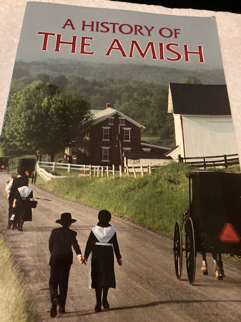 A History Of The Amish (Good Books, 1992, Paperback) by Steven M. Nolt