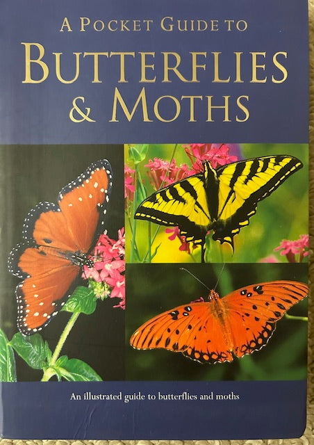 A Pocket Guide to Butterflies & Moths by Elizabeth Balmer (PB, Parragon Publishing, 2007)